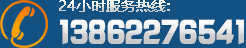 13862276541